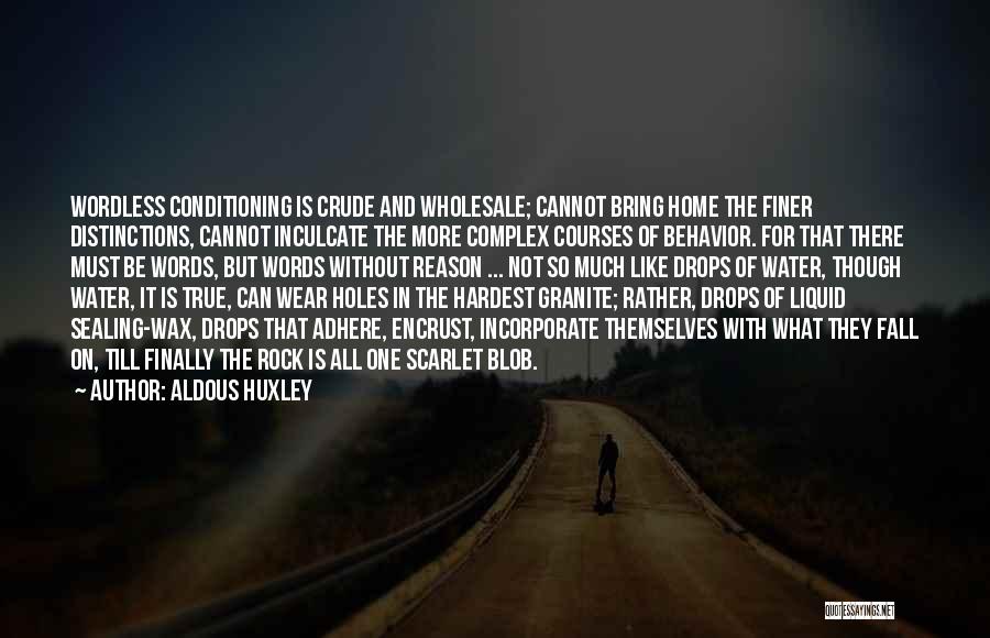 Aldous Huxley Quotes: Wordless Conditioning Is Crude And Wholesale; Cannot Bring Home The Finer Distinctions, Cannot Inculcate The More Complex Courses Of Behavior.