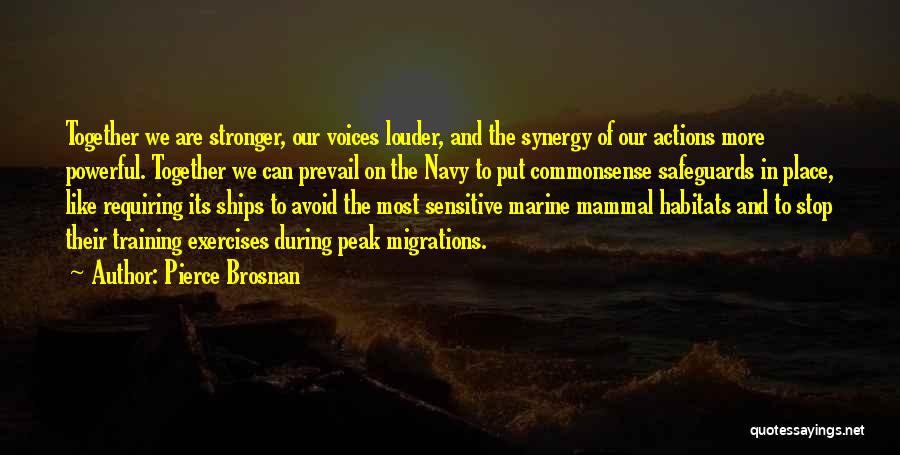 Pierce Brosnan Quotes: Together We Are Stronger, Our Voices Louder, And The Synergy Of Our Actions More Powerful. Together We Can Prevail On