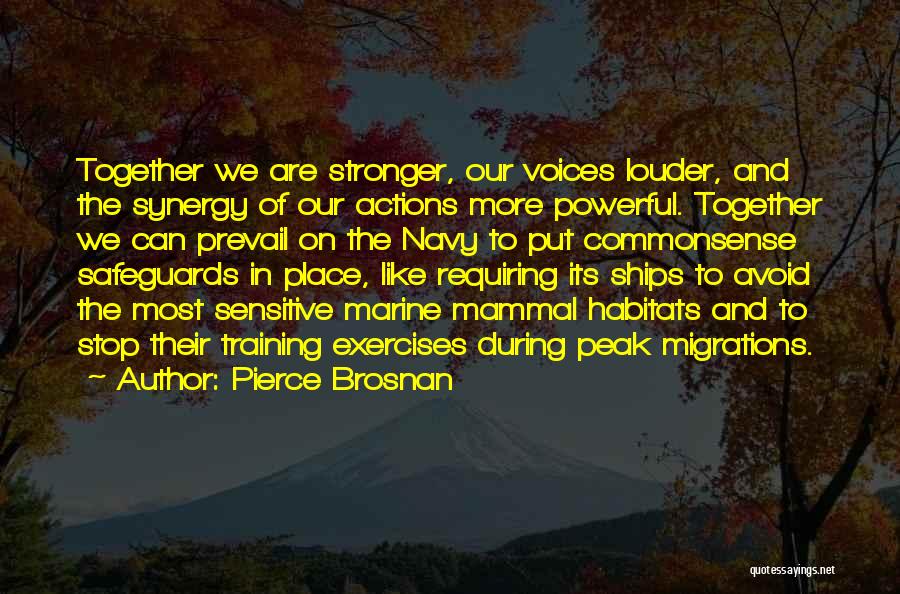 Pierce Brosnan Quotes: Together We Are Stronger, Our Voices Louder, And The Synergy Of Our Actions More Powerful. Together We Can Prevail On