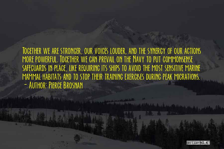 Pierce Brosnan Quotes: Together We Are Stronger, Our Voices Louder, And The Synergy Of Our Actions More Powerful. Together We Can Prevail On