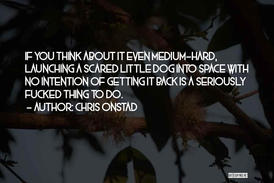 Chris Onstad Quotes: If You Think About It Even Medium-hard, Launching A Scared Little Dog Into Space With No Intention Of Getting It