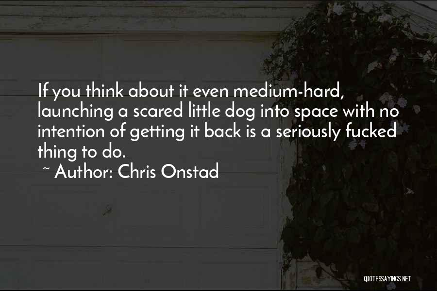 Chris Onstad Quotes: If You Think About It Even Medium-hard, Launching A Scared Little Dog Into Space With No Intention Of Getting It