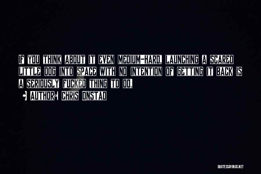 Chris Onstad Quotes: If You Think About It Even Medium-hard, Launching A Scared Little Dog Into Space With No Intention Of Getting It