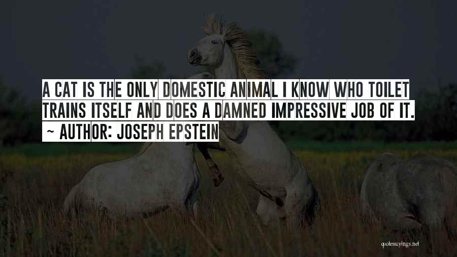 Joseph Epstein Quotes: A Cat Is The Only Domestic Animal I Know Who Toilet Trains Itself And Does A Damned Impressive Job Of