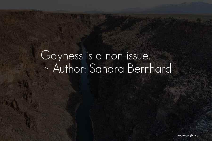 Sandra Bernhard Quotes: Gayness Is A Non-issue.