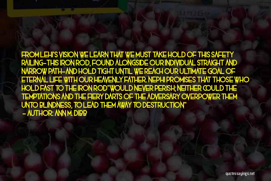 Ann M. Dibb Quotes: From Lehi's Vision We Learn That We Must Take Hold Of This Safety Railing-this Iron Rod, Found Alongside Our Individual