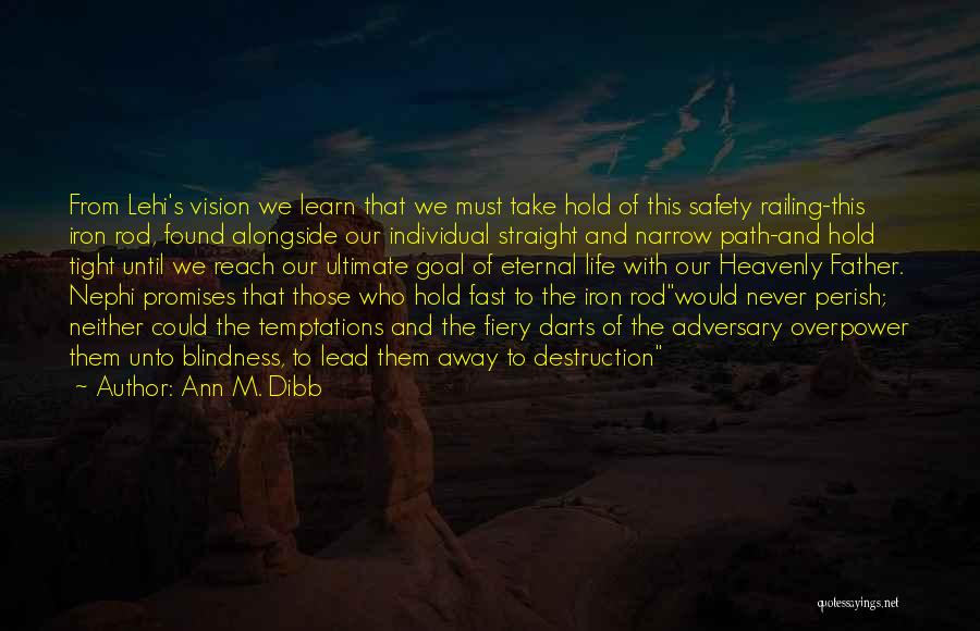 Ann M. Dibb Quotes: From Lehi's Vision We Learn That We Must Take Hold Of This Safety Railing-this Iron Rod, Found Alongside Our Individual
