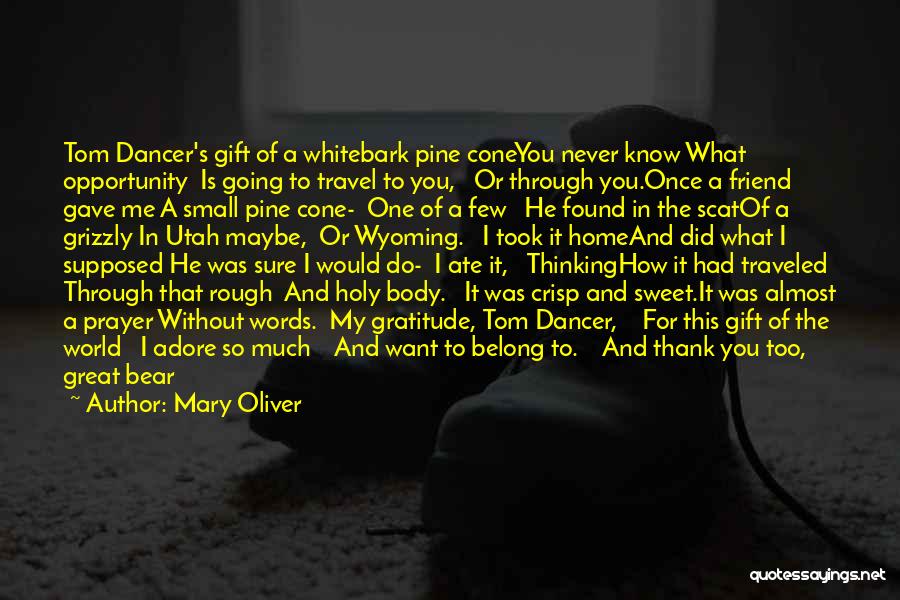 Mary Oliver Quotes: Tom Dancer's Gift Of A Whitebark Pine Coneyou Never Know What Opportunity Is Going To Travel To You, Or Through