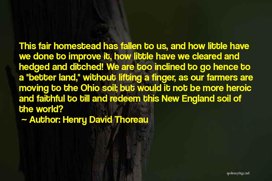 Henry David Thoreau Quotes: This Fair Homestead Has Fallen To Us, And How Little Have We Done To Improve It, How Little Have We