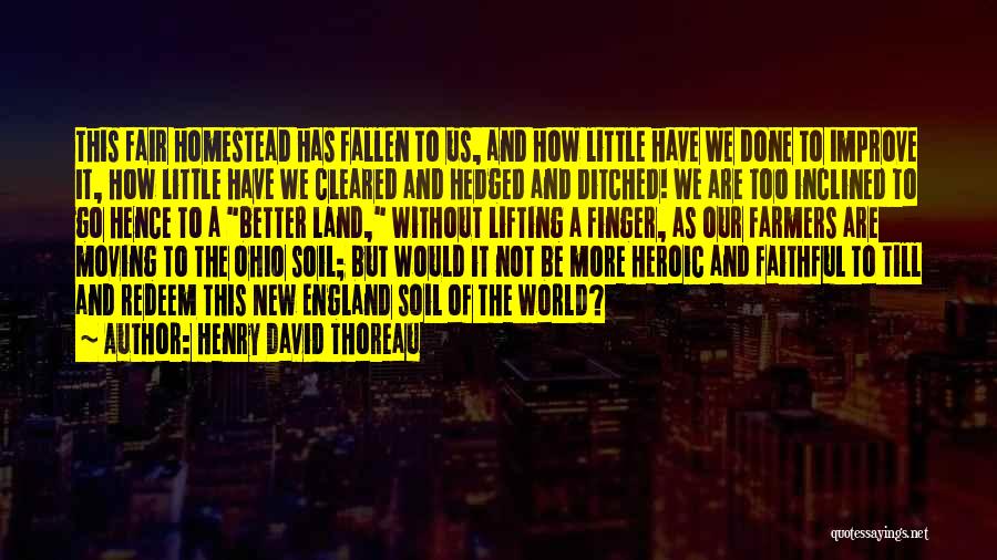 Henry David Thoreau Quotes: This Fair Homestead Has Fallen To Us, And How Little Have We Done To Improve It, How Little Have We