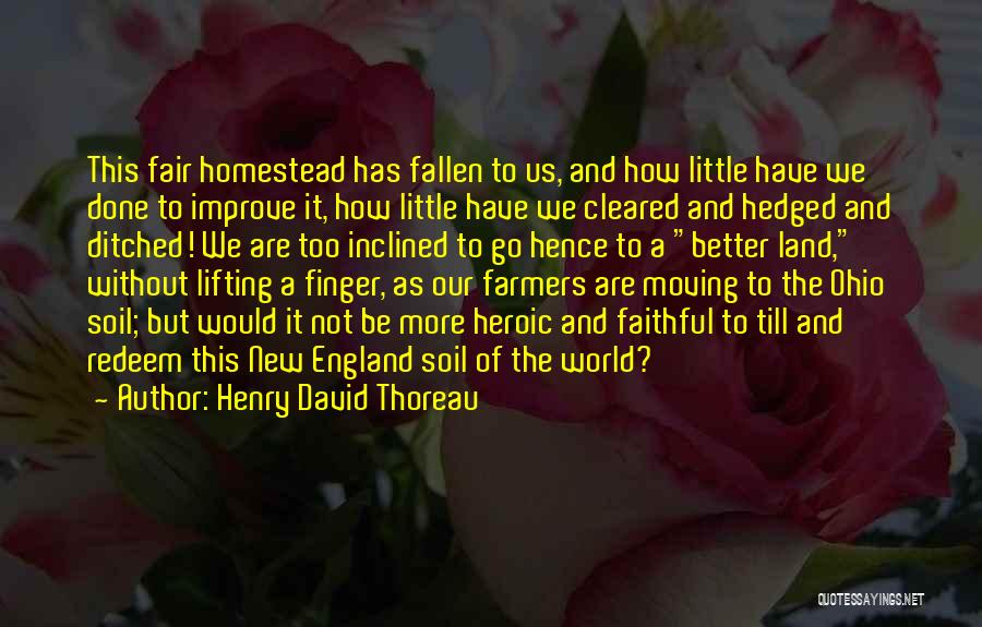 Henry David Thoreau Quotes: This Fair Homestead Has Fallen To Us, And How Little Have We Done To Improve It, How Little Have We
