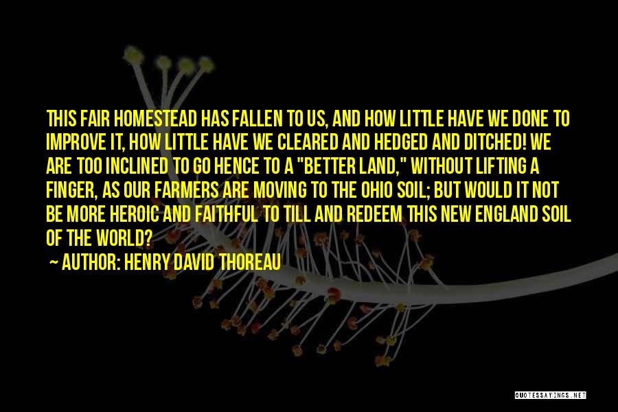 Henry David Thoreau Quotes: This Fair Homestead Has Fallen To Us, And How Little Have We Done To Improve It, How Little Have We