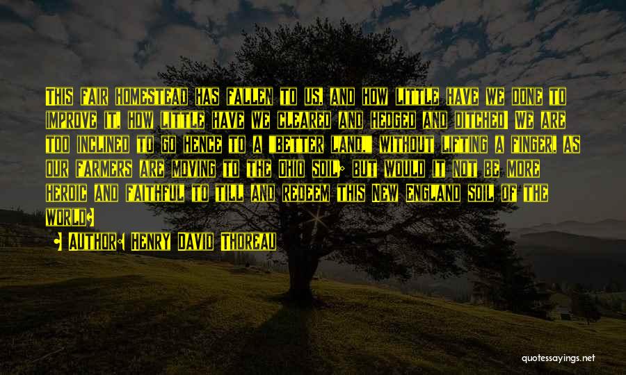 Henry David Thoreau Quotes: This Fair Homestead Has Fallen To Us, And How Little Have We Done To Improve It, How Little Have We