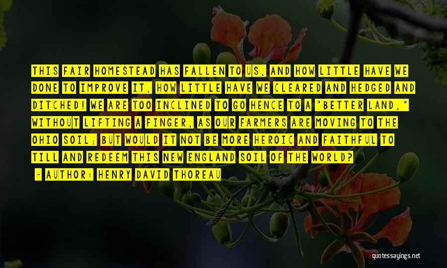 Henry David Thoreau Quotes: This Fair Homestead Has Fallen To Us, And How Little Have We Done To Improve It, How Little Have We