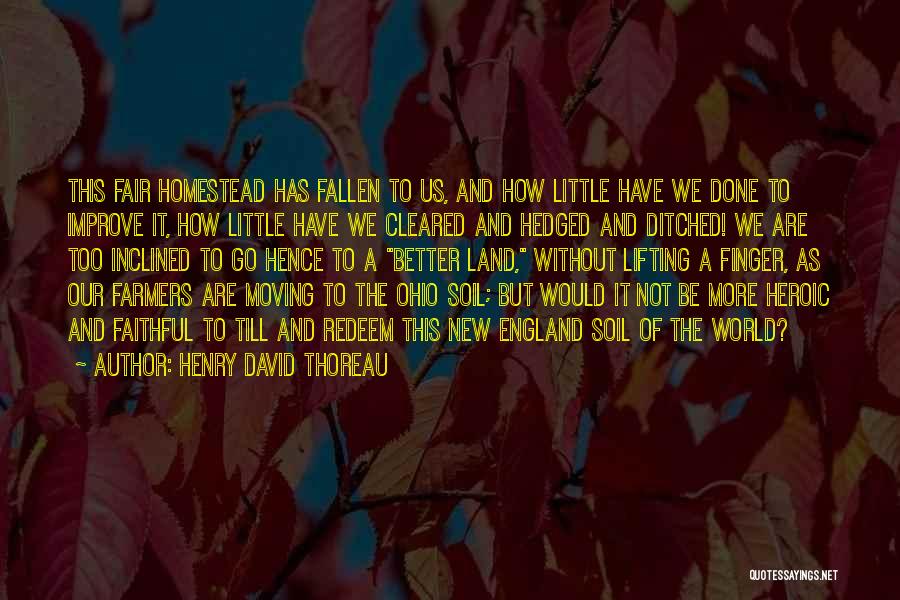 Henry David Thoreau Quotes: This Fair Homestead Has Fallen To Us, And How Little Have We Done To Improve It, How Little Have We