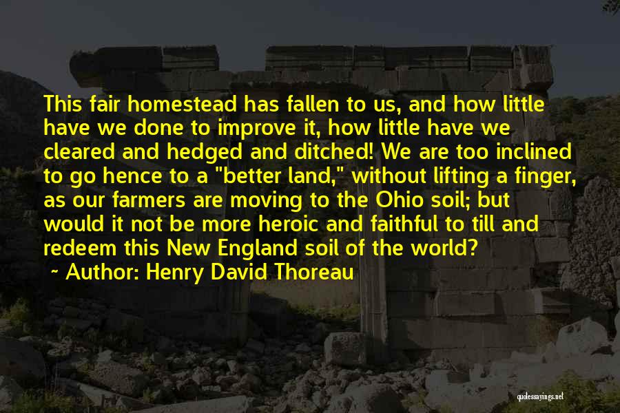 Henry David Thoreau Quotes: This Fair Homestead Has Fallen To Us, And How Little Have We Done To Improve It, How Little Have We