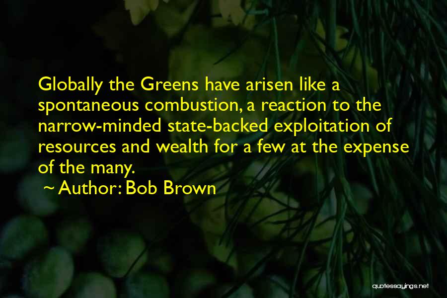Bob Brown Quotes: Globally The Greens Have Arisen Like A Spontaneous Combustion, A Reaction To The Narrow-minded State-backed Exploitation Of Resources And Wealth
