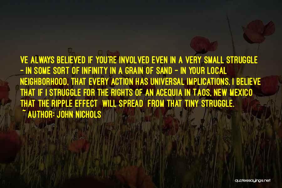 John Nichols Quotes: Ve Always Believed If You're Involved Even In A Very Small Struggle - In Some Sort Of Infinity In A