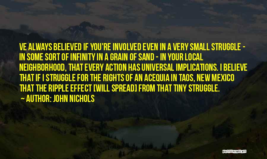 John Nichols Quotes: Ve Always Believed If You're Involved Even In A Very Small Struggle - In Some Sort Of Infinity In A