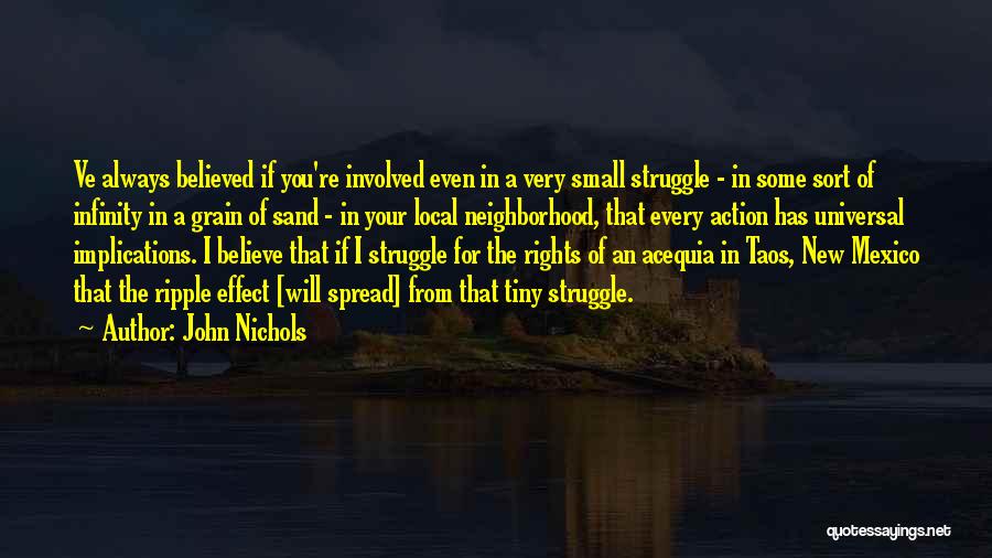 John Nichols Quotes: Ve Always Believed If You're Involved Even In A Very Small Struggle - In Some Sort Of Infinity In A