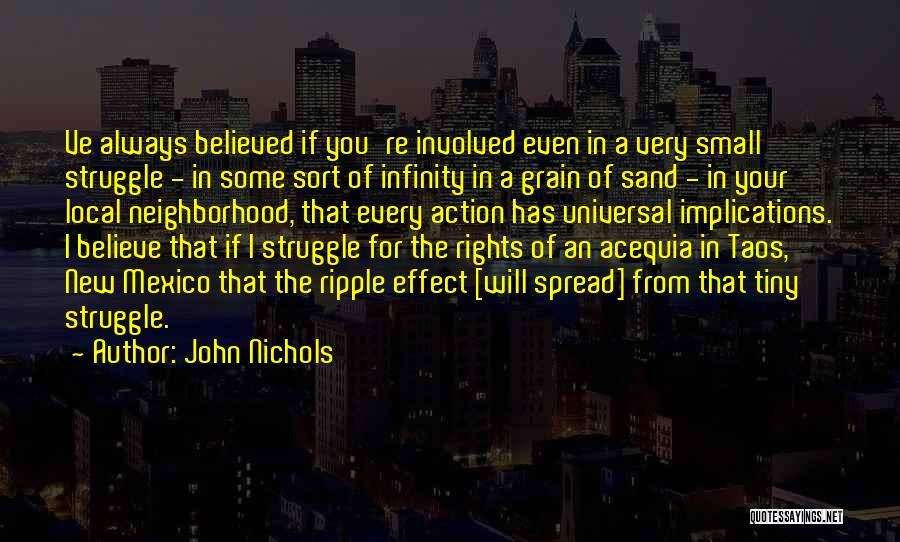 John Nichols Quotes: Ve Always Believed If You're Involved Even In A Very Small Struggle - In Some Sort Of Infinity In A