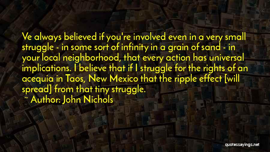 John Nichols Quotes: Ve Always Believed If You're Involved Even In A Very Small Struggle - In Some Sort Of Infinity In A