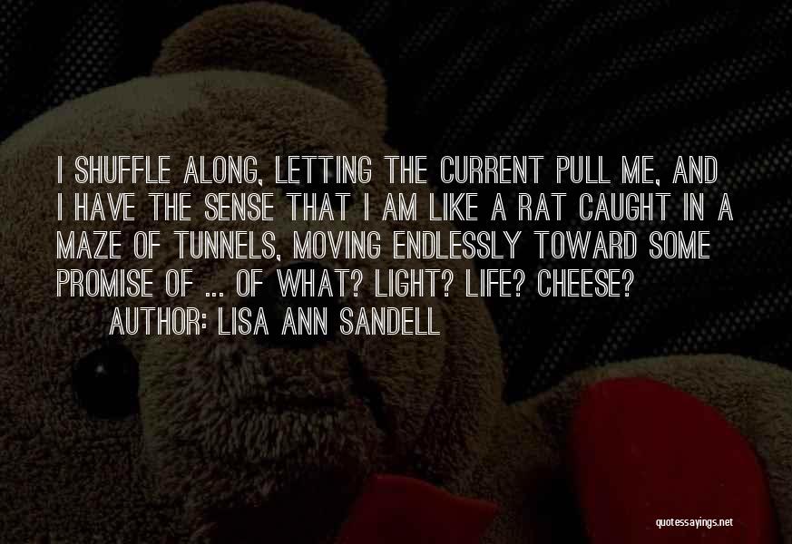 Lisa Ann Sandell Quotes: I Shuffle Along, Letting The Current Pull Me, And I Have The Sense That I Am Like A Rat Caught