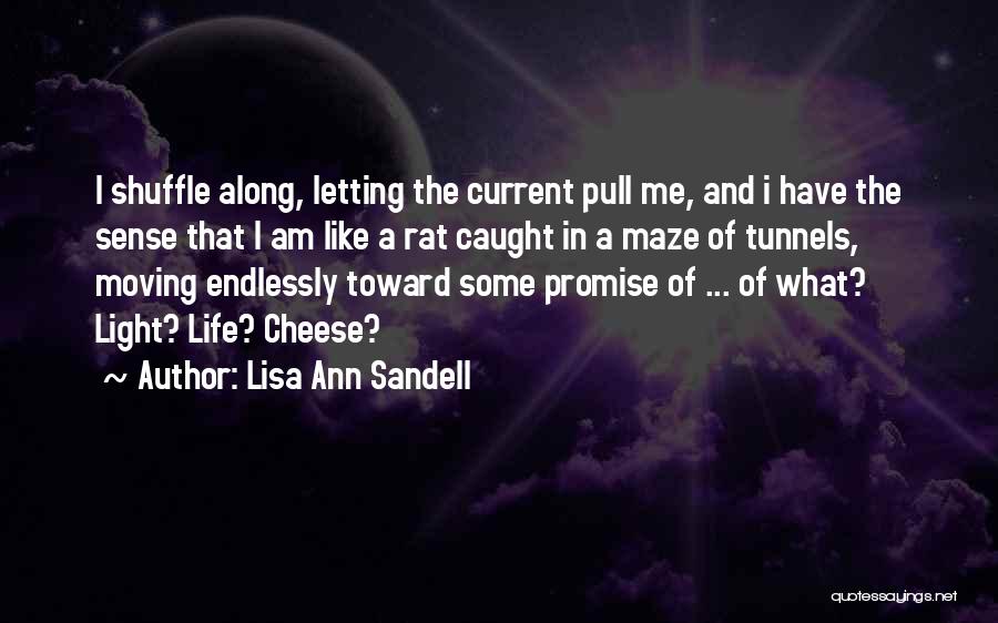 Lisa Ann Sandell Quotes: I Shuffle Along, Letting The Current Pull Me, And I Have The Sense That I Am Like A Rat Caught