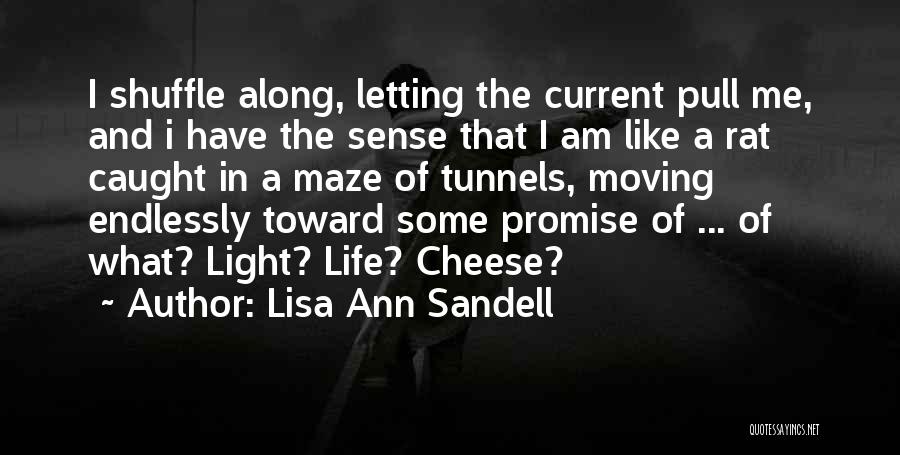 Lisa Ann Sandell Quotes: I Shuffle Along, Letting The Current Pull Me, And I Have The Sense That I Am Like A Rat Caught