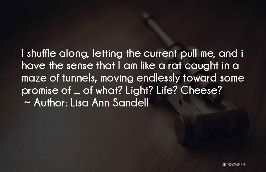 Lisa Ann Sandell Quotes: I Shuffle Along, Letting The Current Pull Me, And I Have The Sense That I Am Like A Rat Caught