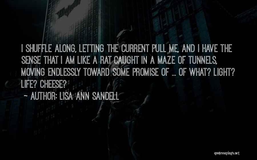 Lisa Ann Sandell Quotes: I Shuffle Along, Letting The Current Pull Me, And I Have The Sense That I Am Like A Rat Caught