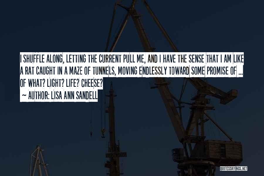 Lisa Ann Sandell Quotes: I Shuffle Along, Letting The Current Pull Me, And I Have The Sense That I Am Like A Rat Caught