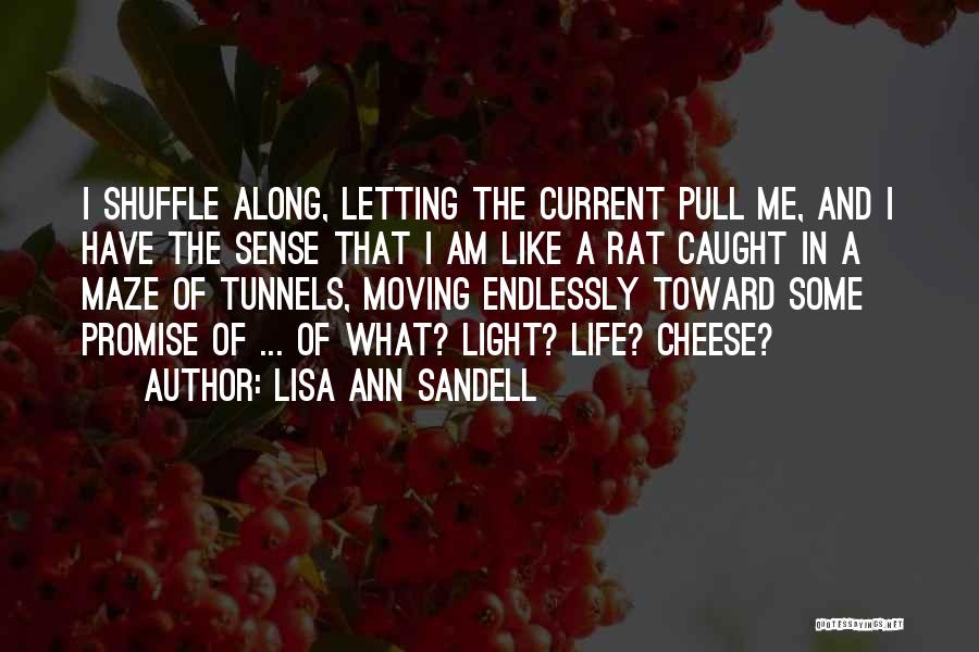 Lisa Ann Sandell Quotes: I Shuffle Along, Letting The Current Pull Me, And I Have The Sense That I Am Like A Rat Caught