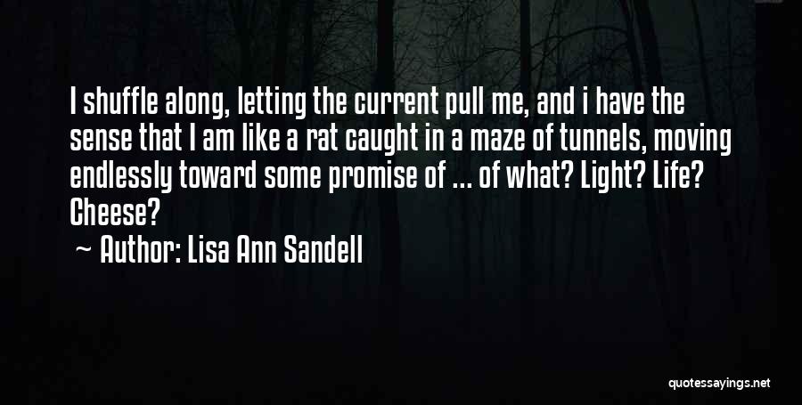 Lisa Ann Sandell Quotes: I Shuffle Along, Letting The Current Pull Me, And I Have The Sense That I Am Like A Rat Caught