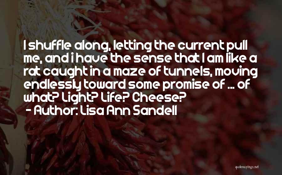 Lisa Ann Sandell Quotes: I Shuffle Along, Letting The Current Pull Me, And I Have The Sense That I Am Like A Rat Caught