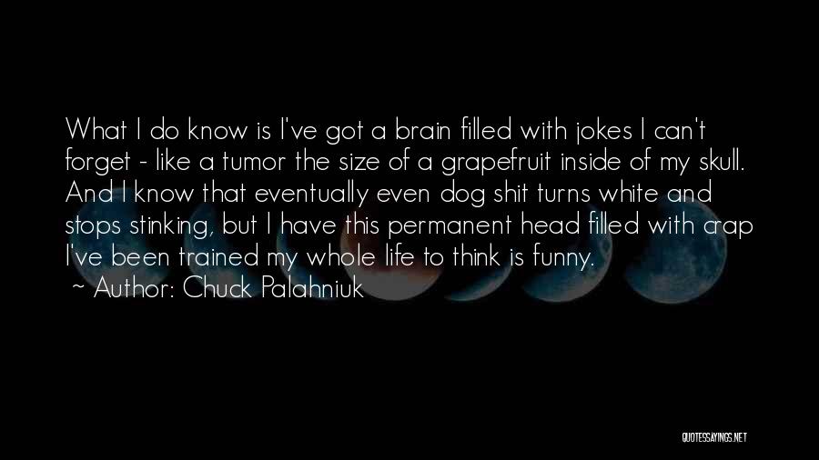 Chuck Palahniuk Quotes: What I Do Know Is I've Got A Brain Filled With Jokes I Can't Forget - Like A Tumor The