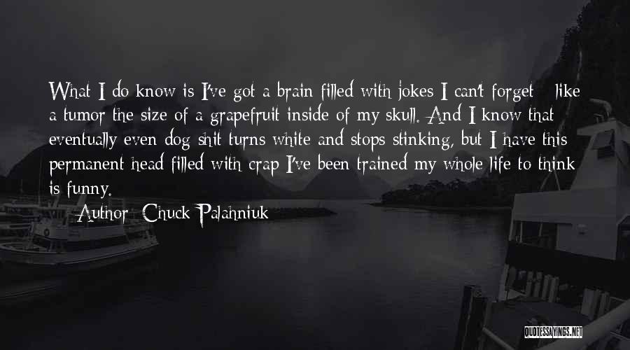 Chuck Palahniuk Quotes: What I Do Know Is I've Got A Brain Filled With Jokes I Can't Forget - Like A Tumor The