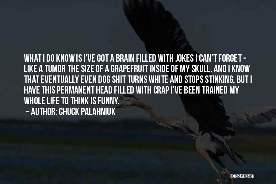 Chuck Palahniuk Quotes: What I Do Know Is I've Got A Brain Filled With Jokes I Can't Forget - Like A Tumor The