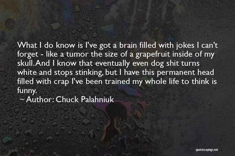 Chuck Palahniuk Quotes: What I Do Know Is I've Got A Brain Filled With Jokes I Can't Forget - Like A Tumor The