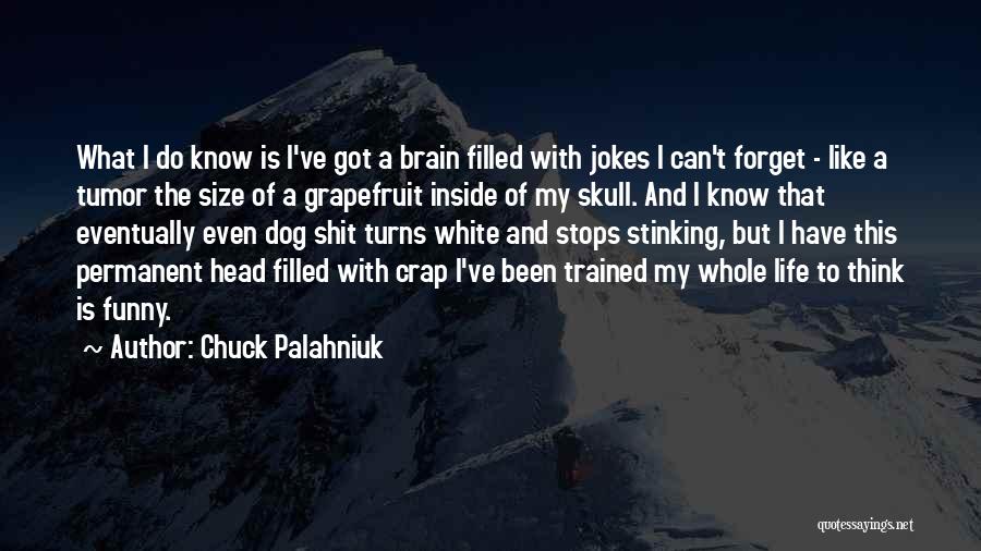 Chuck Palahniuk Quotes: What I Do Know Is I've Got A Brain Filled With Jokes I Can't Forget - Like A Tumor The