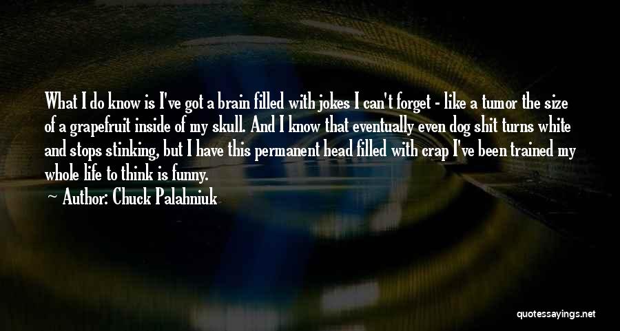 Chuck Palahniuk Quotes: What I Do Know Is I've Got A Brain Filled With Jokes I Can't Forget - Like A Tumor The