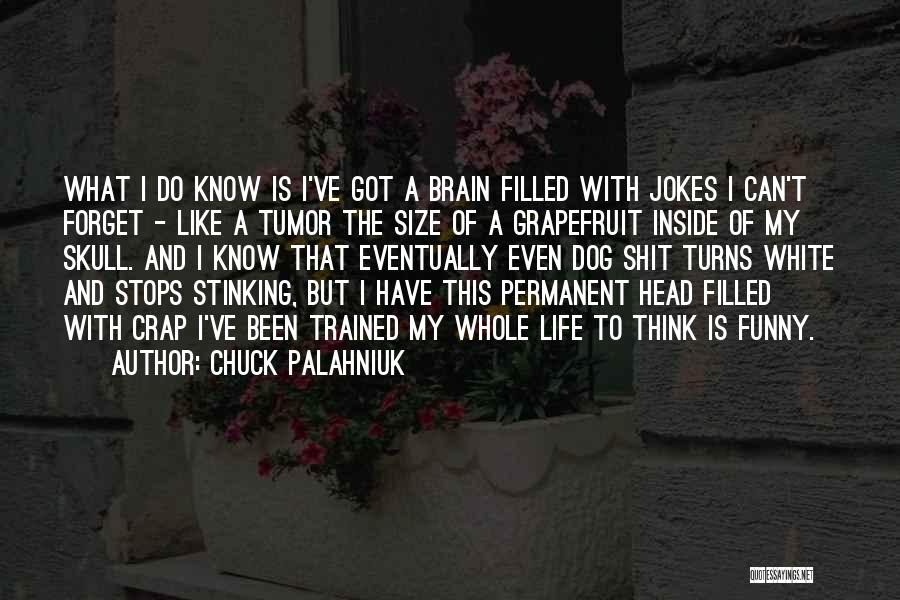 Chuck Palahniuk Quotes: What I Do Know Is I've Got A Brain Filled With Jokes I Can't Forget - Like A Tumor The