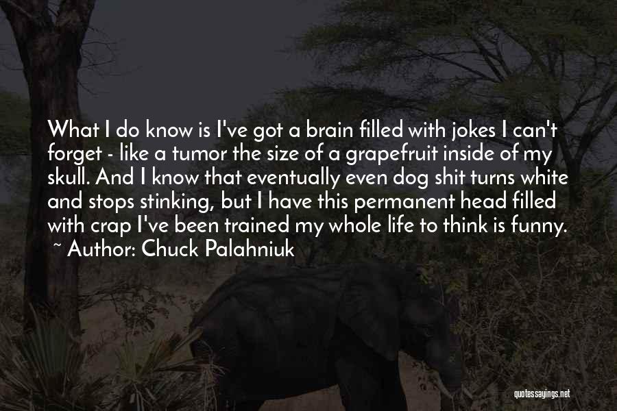 Chuck Palahniuk Quotes: What I Do Know Is I've Got A Brain Filled With Jokes I Can't Forget - Like A Tumor The