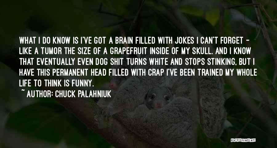 Chuck Palahniuk Quotes: What I Do Know Is I've Got A Brain Filled With Jokes I Can't Forget - Like A Tumor The