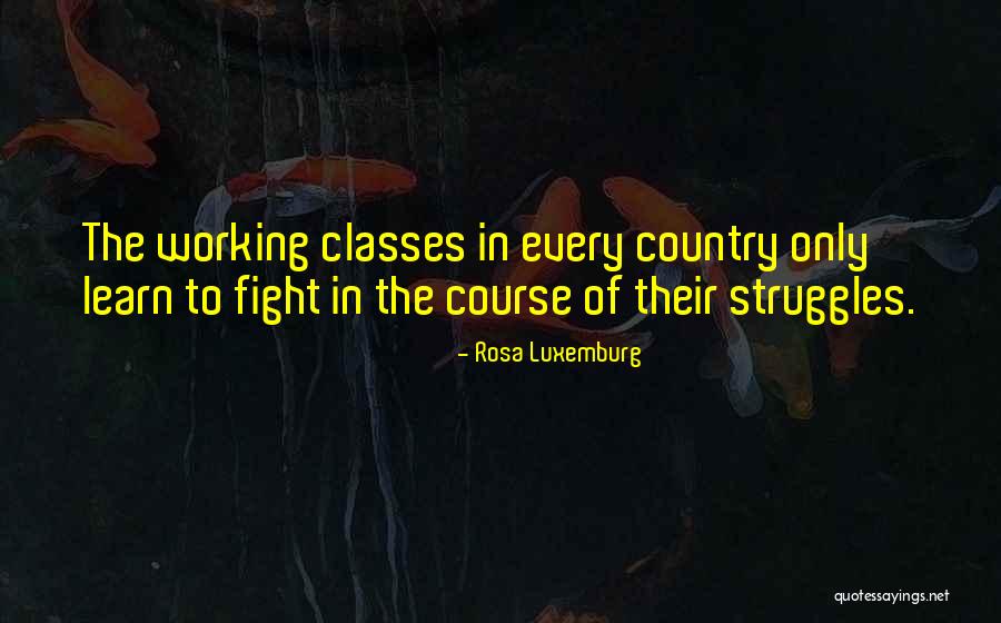 828 Pizza Quotes By Rosa Luxemburg 828 Pizza Quotes By Rosa Luxemburg