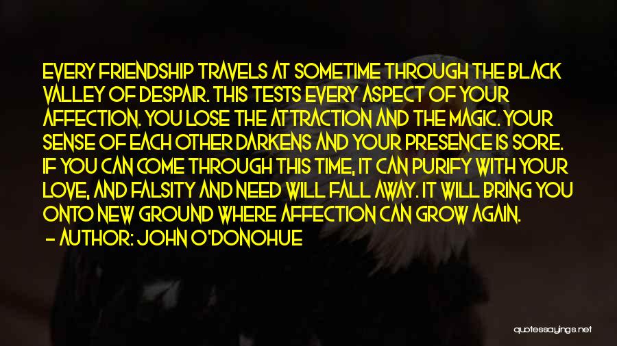 John O'Donohue Quotes: Every Friendship Travels At Sometime Through The Black Valley Of Despair. This Tests Every Aspect Of Your Affection. You Lose