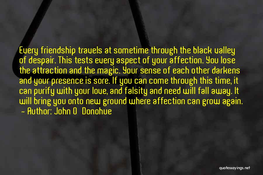 John O'Donohue Quotes: Every Friendship Travels At Sometime Through The Black Valley Of Despair. This Tests Every Aspect Of Your Affection. You Lose