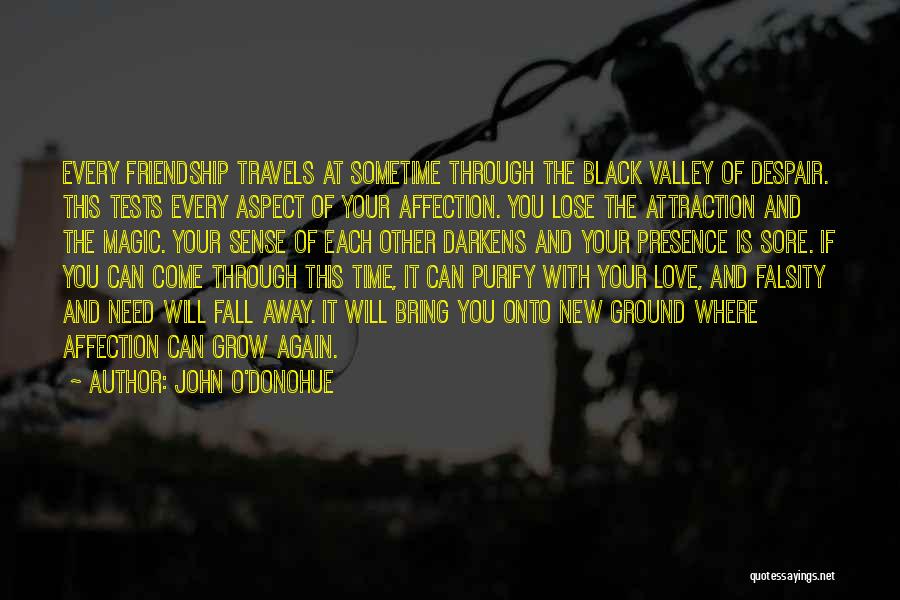 John O'Donohue Quotes: Every Friendship Travels At Sometime Through The Black Valley Of Despair. This Tests Every Aspect Of Your Affection. You Lose