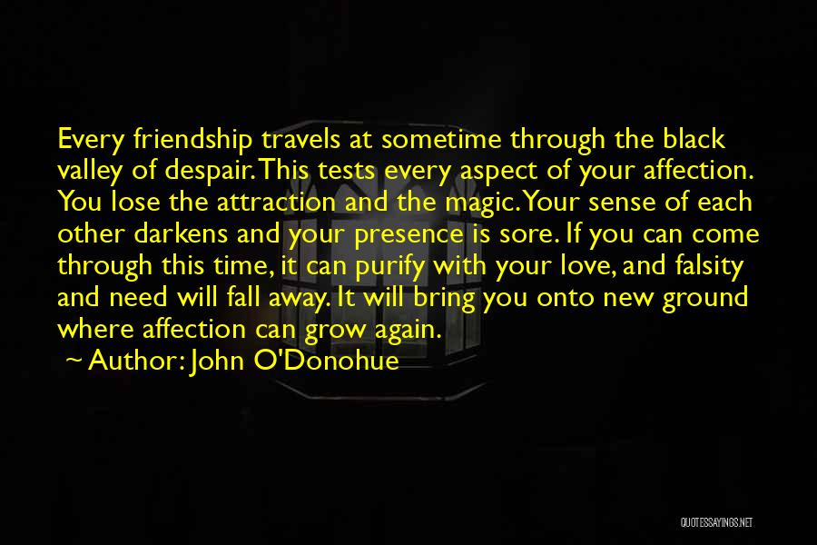 John O'Donohue Quotes: Every Friendship Travels At Sometime Through The Black Valley Of Despair. This Tests Every Aspect Of Your Affection. You Lose