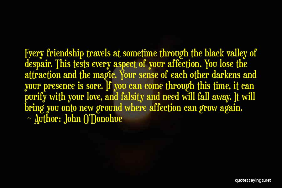 John O'Donohue Quotes: Every Friendship Travels At Sometime Through The Black Valley Of Despair. This Tests Every Aspect Of Your Affection. You Lose
